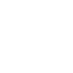 Normal icon